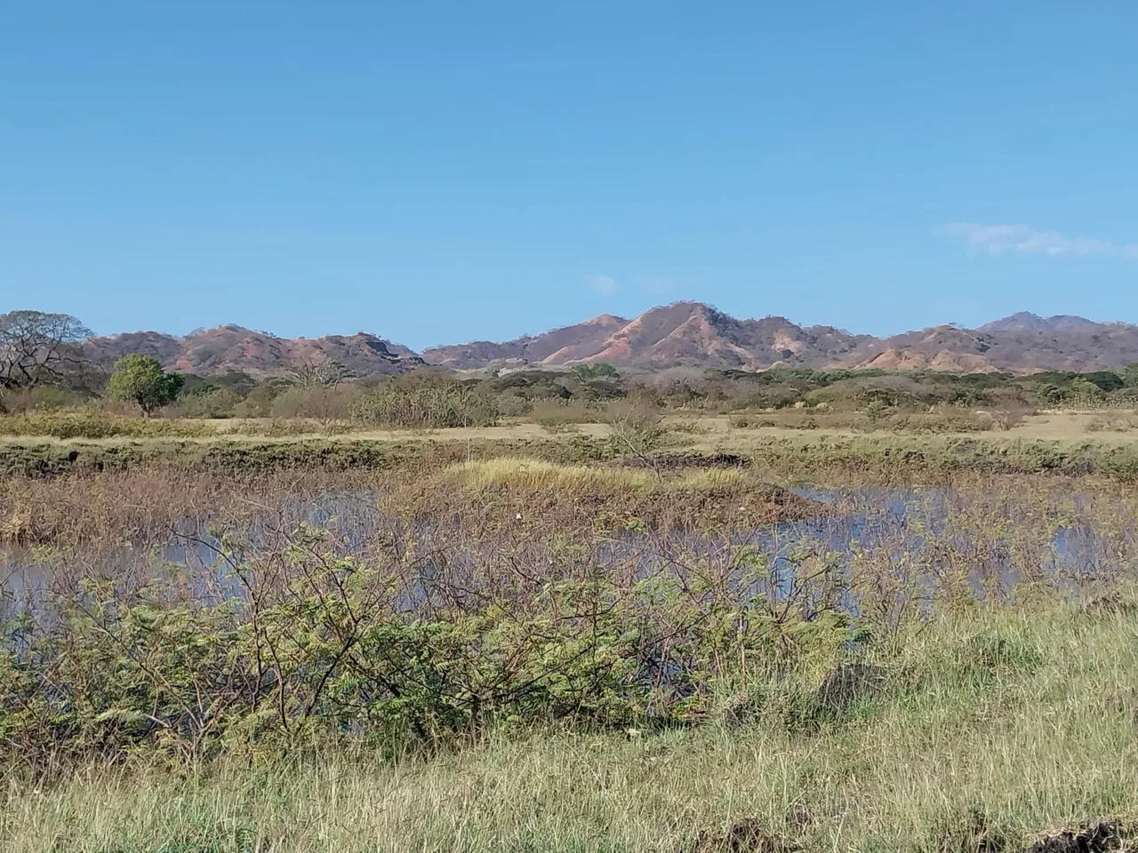 187 Acres Guanacaste Farm with water wells – ideal for cattle or cultivation