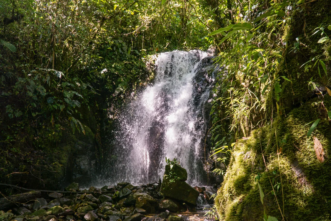 Over 17 Acre Perez Zeledon Nature Property with Waterfalls