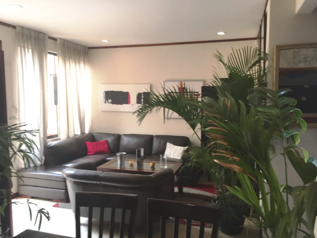La Sabana San Jose top floor 2 BR end view condo — photo 2
