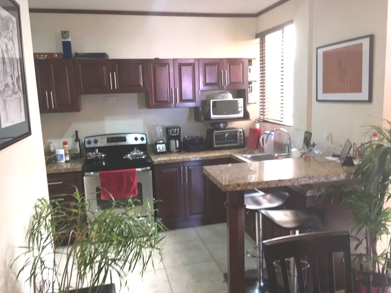 La Sabana San Jose top floor 2 BR end view condo — photo 3