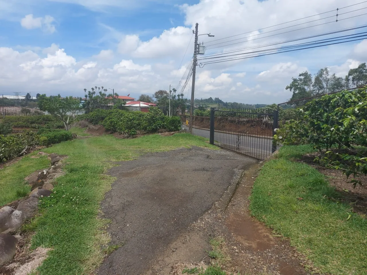 Moravia 5 Hectare Coffee – Residential Development Farm on the River — photo 2