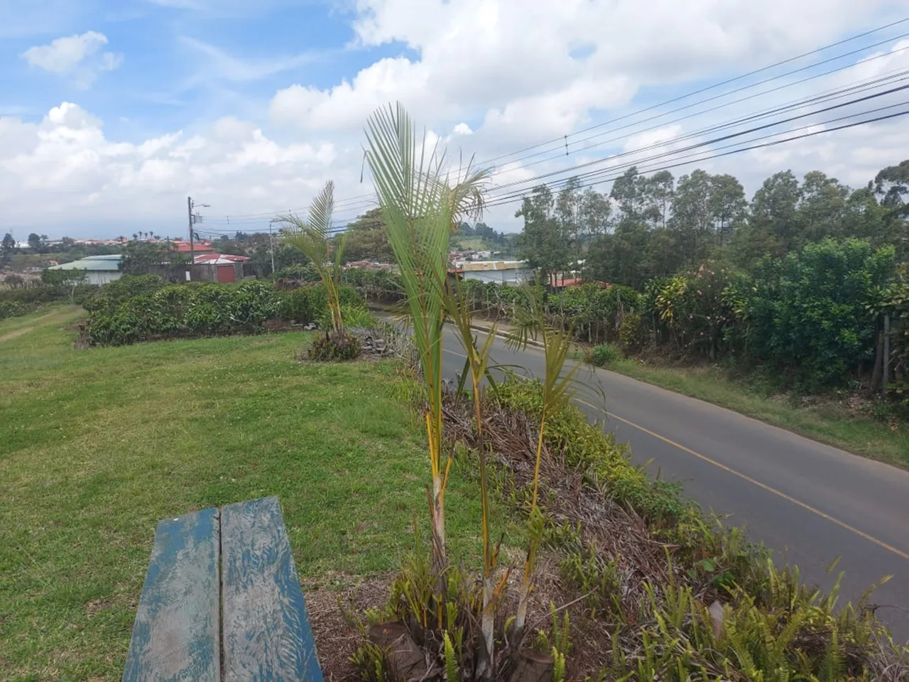 Moravia 5 Hectare Coffee – Residential Development Farm on the River — photo 5