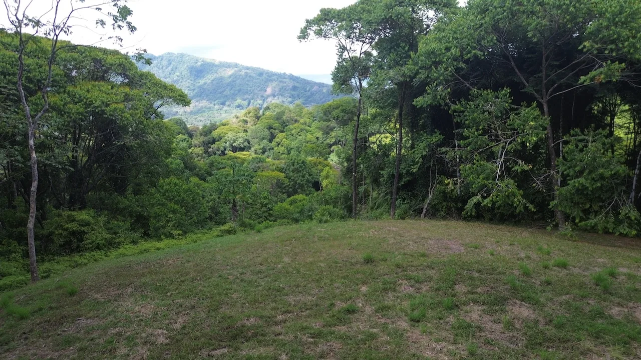 Private 6-Acre Dominical Jungle Property