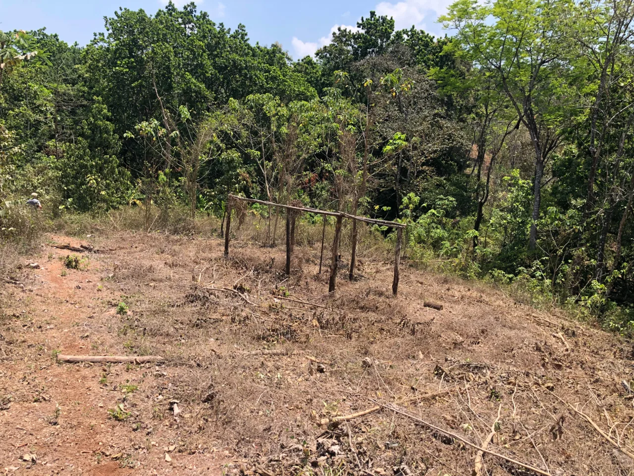 Samara Beach Hills Building Lot on Creek