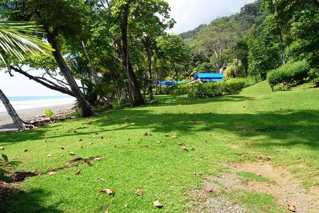 173 Acre Sustainable Corcovado Beachfront Tent Camp Farm