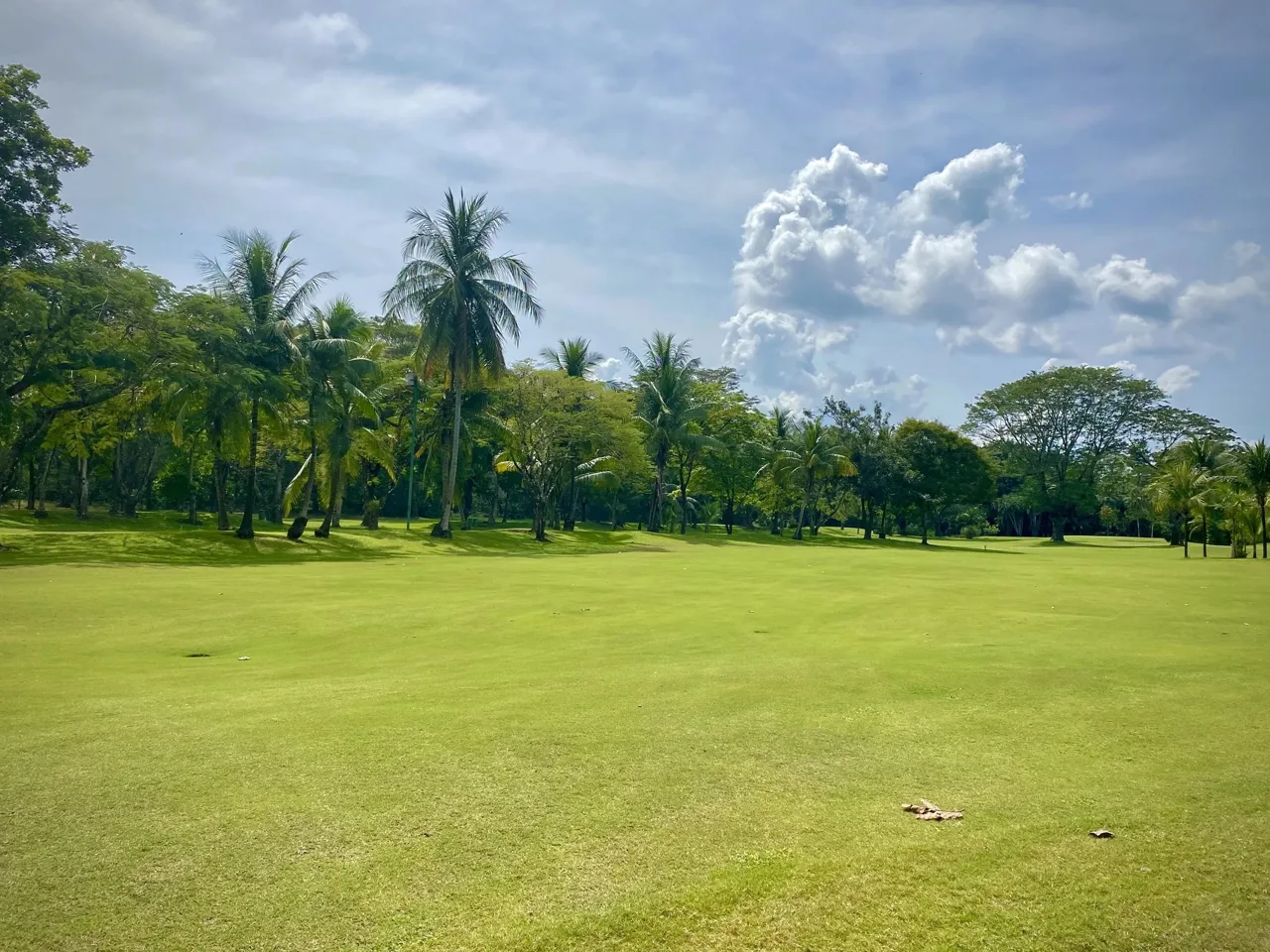 Garden Golf section Los Delfines Beach Club Building Lot