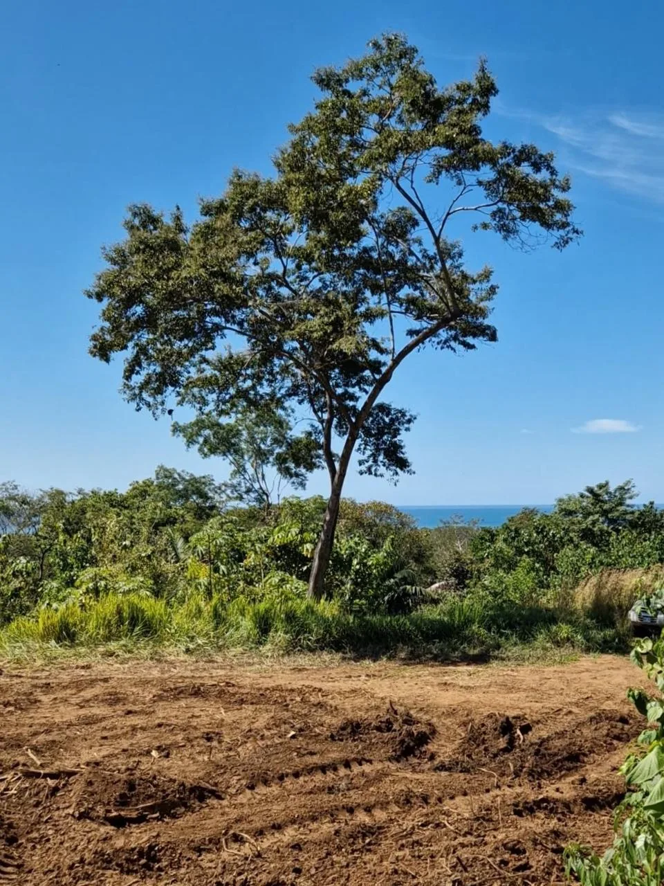 Quiet Playa Costa de Oro Ocean View Lot Walk To Beach