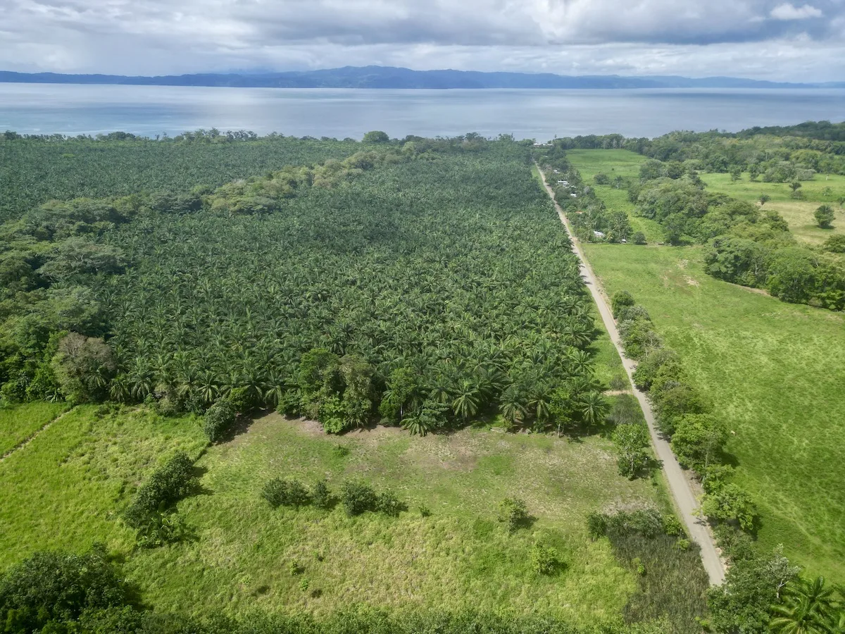 Building Lot walk to Golfo Dulce beach