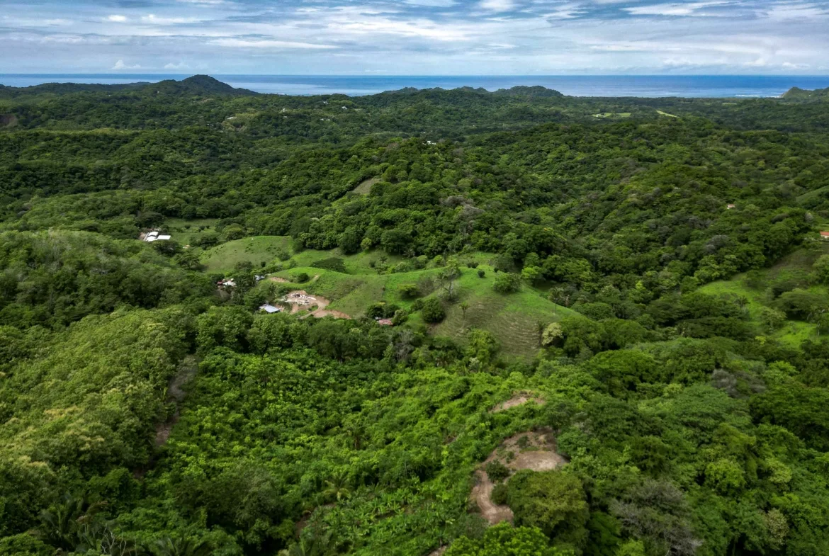 Samara 125 Acre Stunning Ocean View Farm