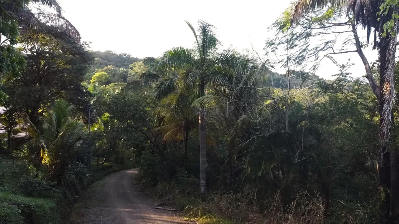 Samara Gated Community Jungle View Lot
