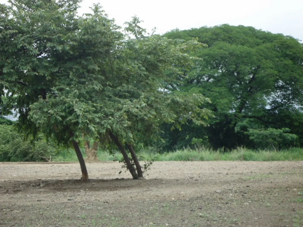 For sale 6,396 M2 lot, close to Valle del Sol Lindora