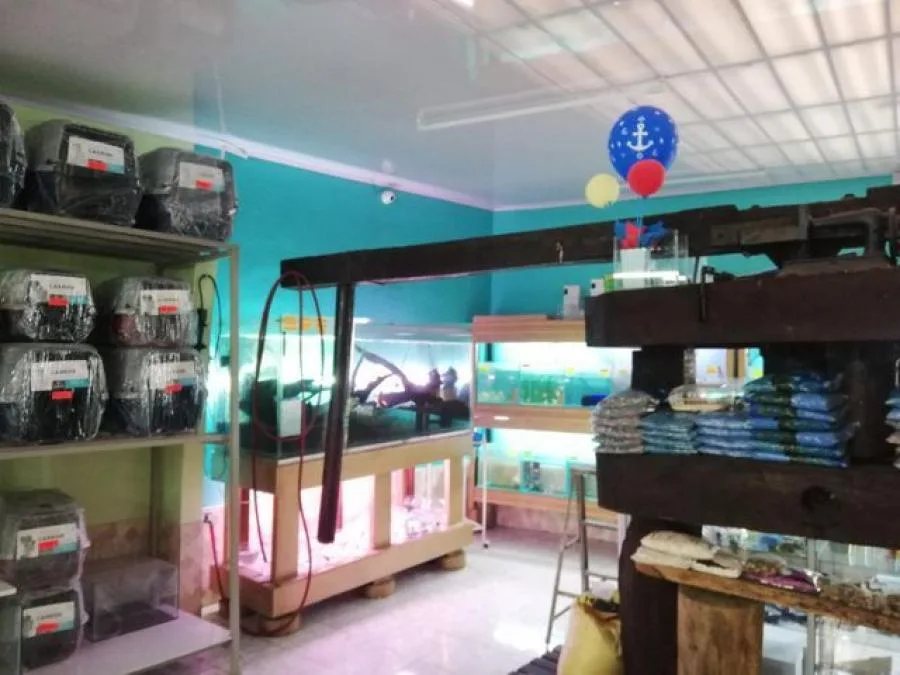 Venta de Propiedad Comercial en San José. - Venta en San José — photo 3