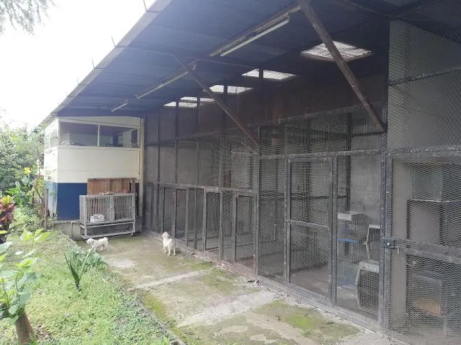 Venta de Propiedad Comercial en San José. - Venta en San José — photo 5