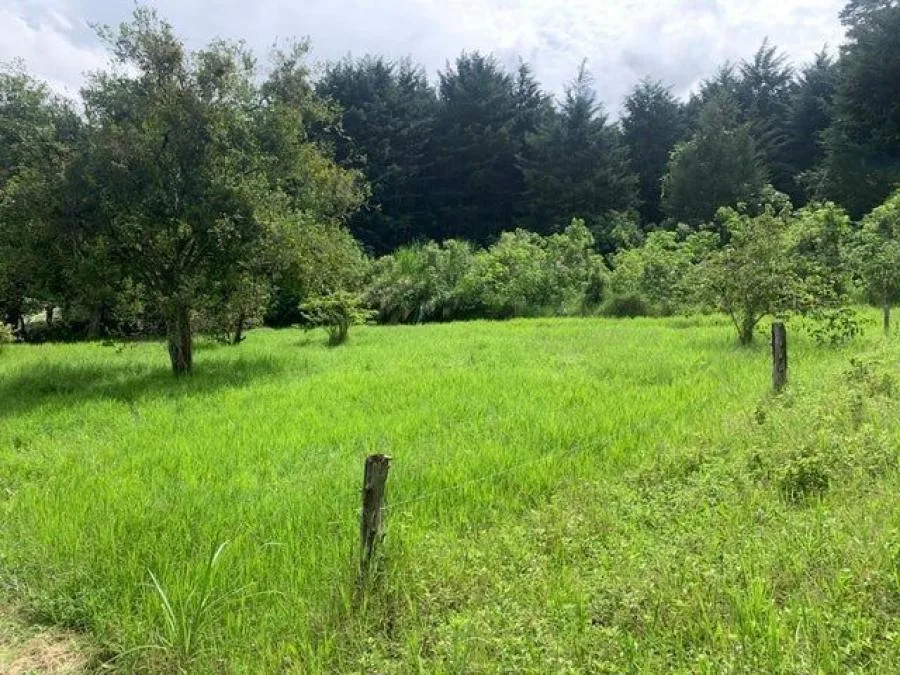 Venta de Finca (DJ) - Venta en Santa Bárbara