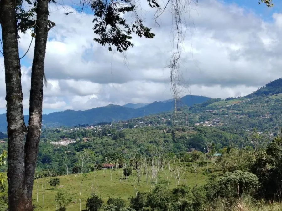 FINCA EN VENTA COSTA RICA 4 HA CON VISTA Y QUEBRADAS - Venta en Perez Zeledón