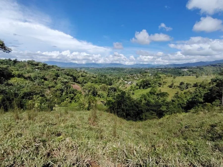 FINCA EN VENTA COSTA RICA 4 HA CON VISTA Y QUEBRADAS - Venta en Perez Zeledón — photo 3