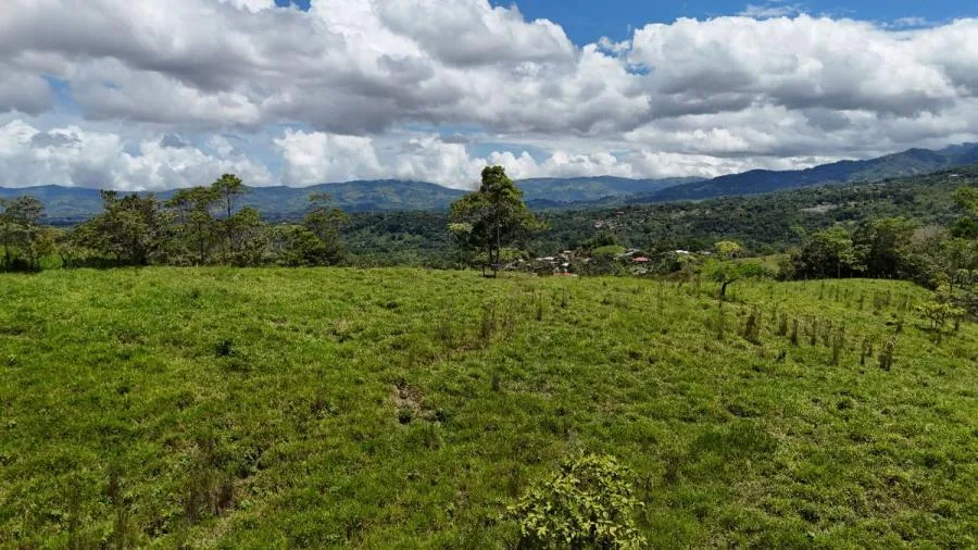 FINCA EN VENTA COSTA RICA 4 HA CON VISTA Y QUEBRADAS - Venta en Perez Zeledón — photo 4