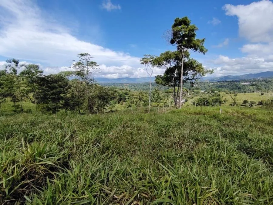 FINCA EN VENTA COSTA RICA 4 HA CON VISTA Y QUEBRADAS - Venta en Perez Zeledón — photo 5