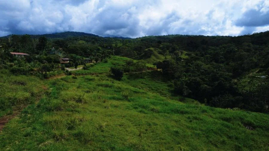 TERRENO EN VENTA EN MIRAFLORES – 2 HECTÁREAS - Venta en Perez Zeledón — photo 2