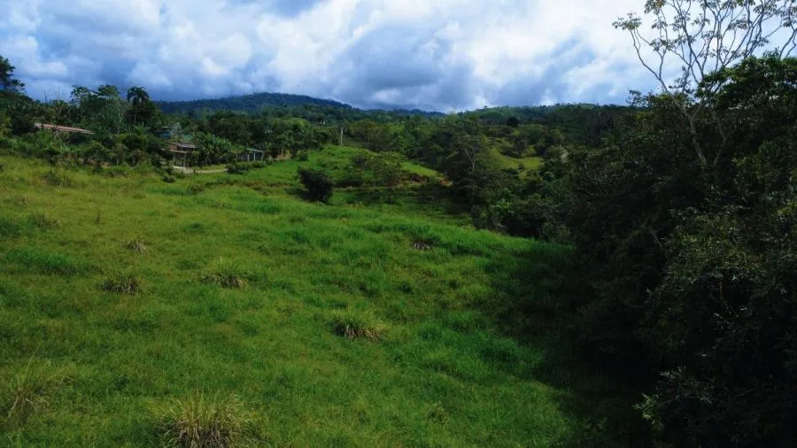 TERRENO EN VENTA EN MIRAFLORES – 2 HECTÁREAS - Venta en Perez Zeledón — photo 4