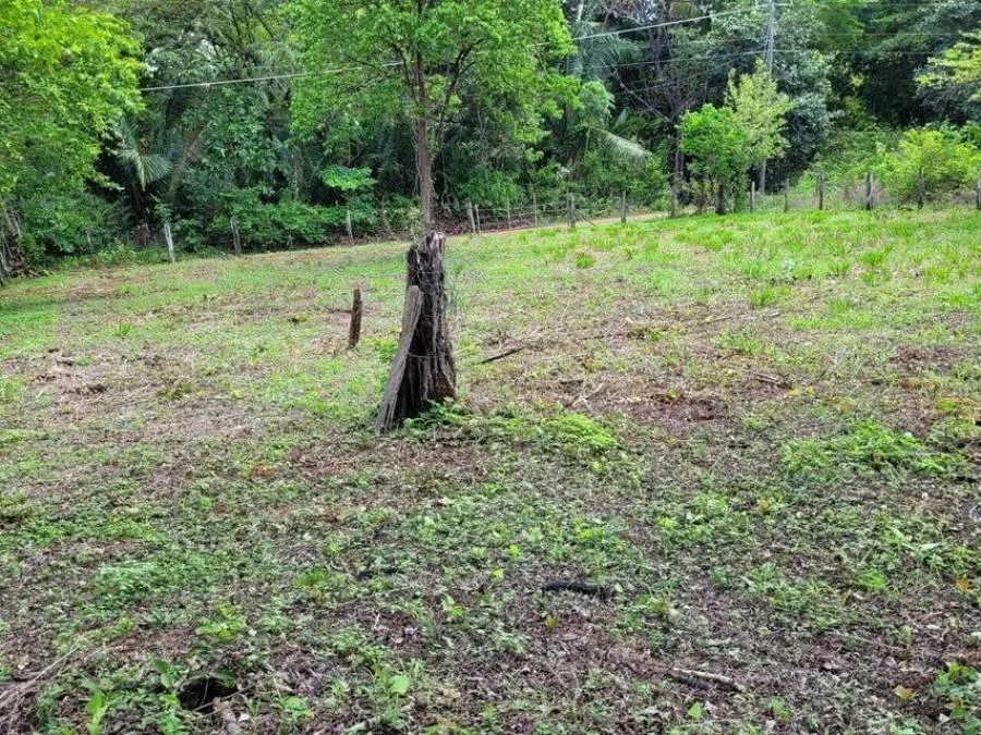 Venta lote en Tibás - Venta en Tibás — photo 3