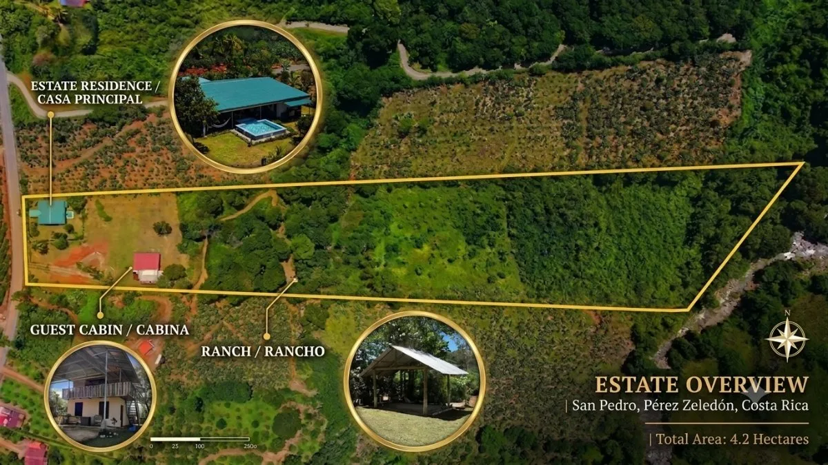 SE VENDE FINCA CON NACIENTE DE AGUA Y ACCESO ASFALTADO EN SAN PEDRO - Venta en Pérez Zeledón
