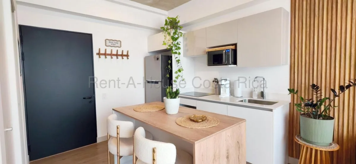 Alquiler de Apartamento Amueblado en Torre Secret-Escalante, San José. RAH 26-1815 - Alquiler / Renta en San José