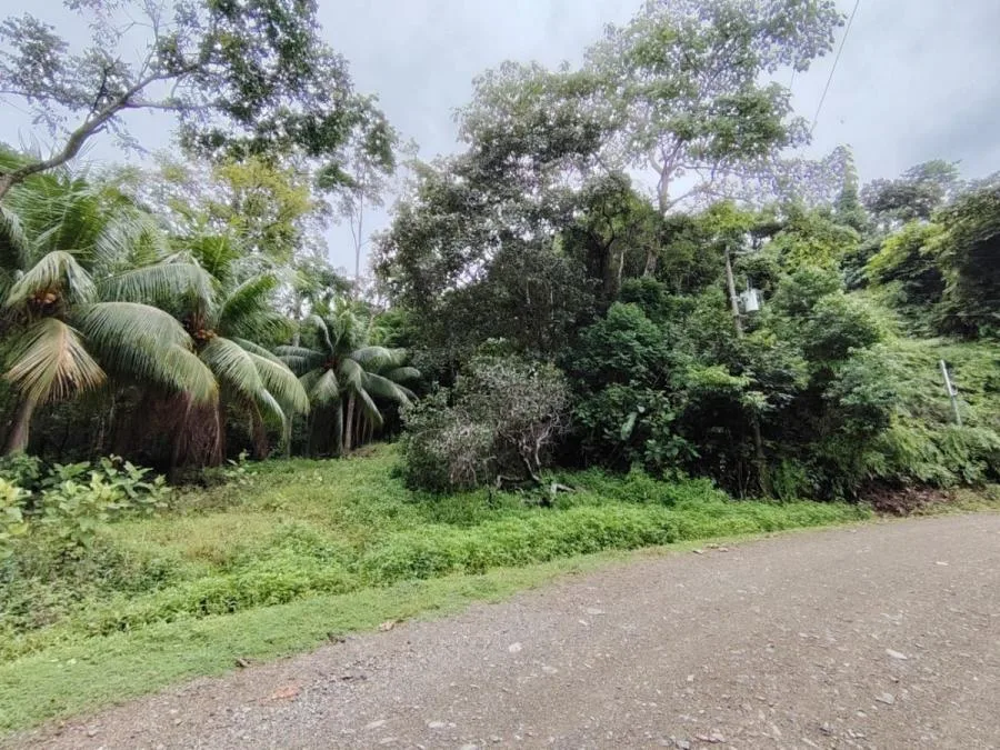 PROPIEDAD DE 3,520 M² EN VENTA – CORONADO DE OSA, PENÍNSULA DE OSA - Venta en Quepos
