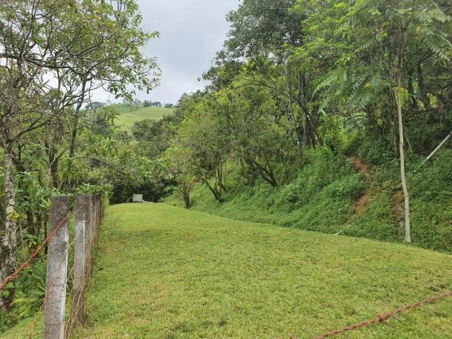 CASA EN VENTA EN MORA, cod: CTL 24-1029 - Venta en Mora — photo 4