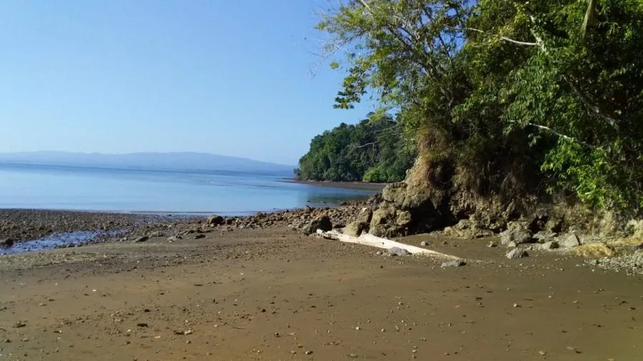 FINCA EN VENTA FRENTE AL GOLFO DULCE, OSA - Venta en Golfito