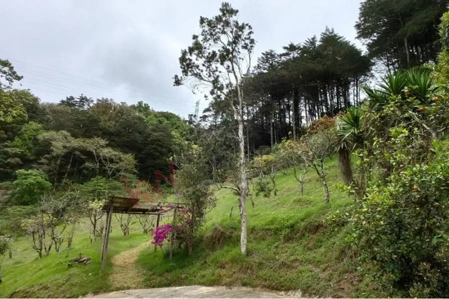 EN VENTA FINCA DE 22 HECTÁREAS EN COPALCHÍ DE CARTAGO #5728  - Venta en Cartago