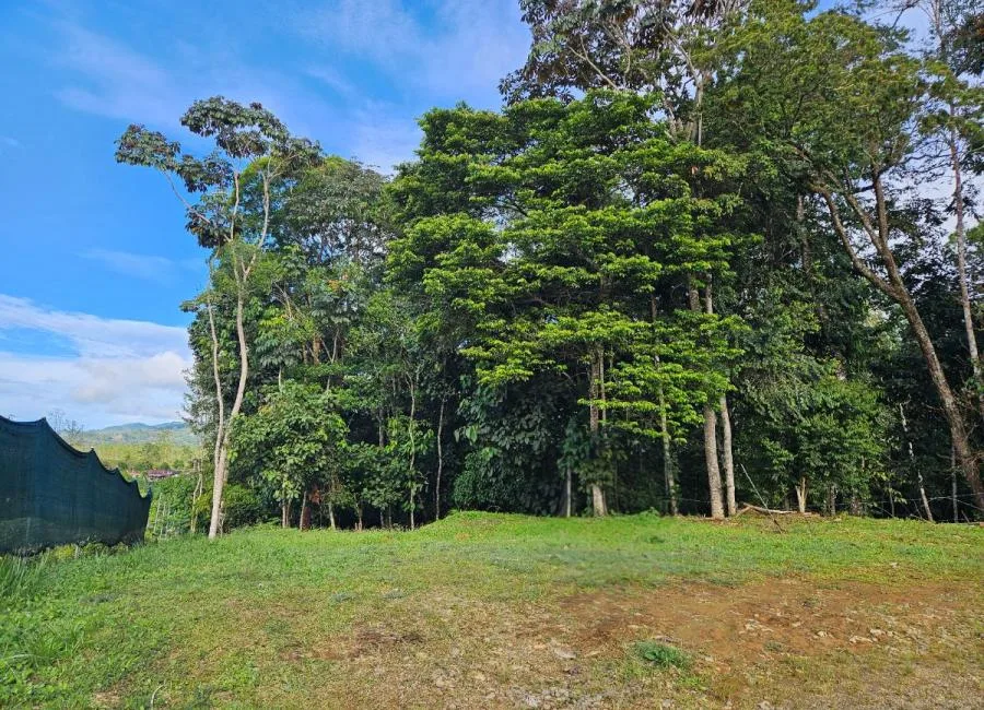 LOTE EN VENTA EN LA BONITA DE PÉREZ ZELEDÓN | 923 M² - Venta en Perez Zeledón — photo 4