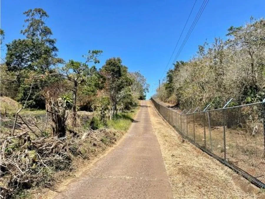 VENTA DE LOTE, ALAJUELA, SAN RAMON, COSTADO NORTE DE LA UCR - Venta en San Ramón