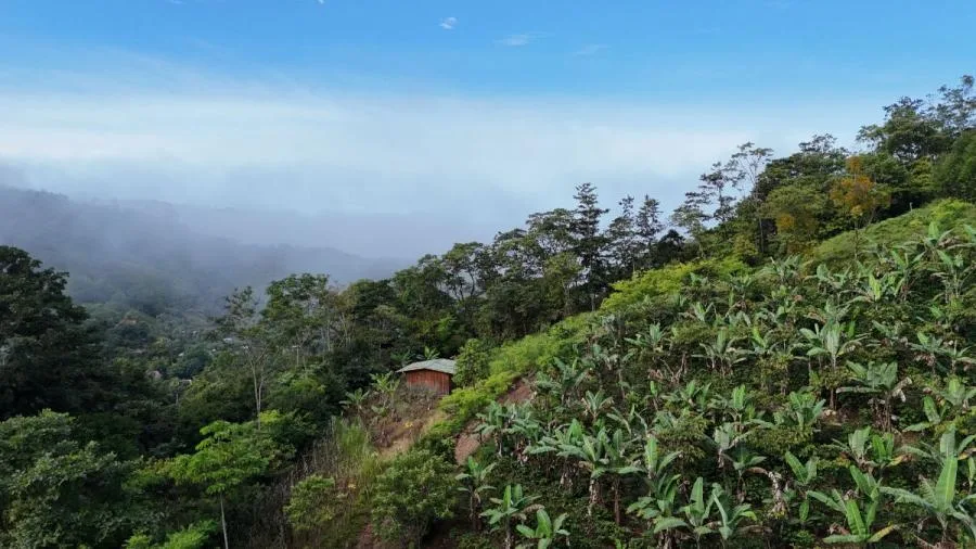 LOTE EN RIVAS, COSTA RICA CON QUEBRADA Y VISTAS. - Venta en Perez Zeledón
