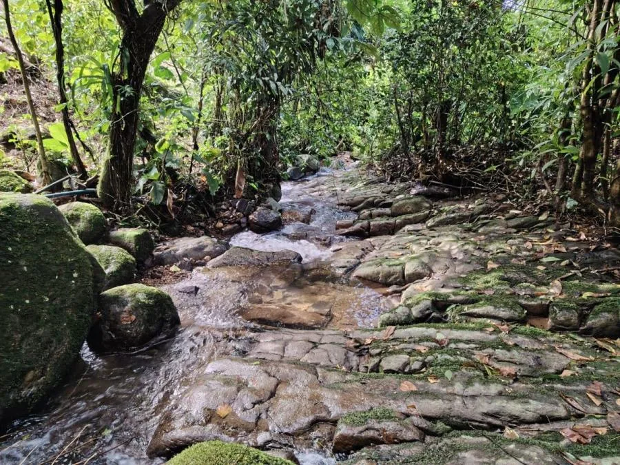LOTE EN RIVAS, COSTA RICA CON QUEBRADA Y VISTAS. - Venta en Perez Zeledón — photo 3
