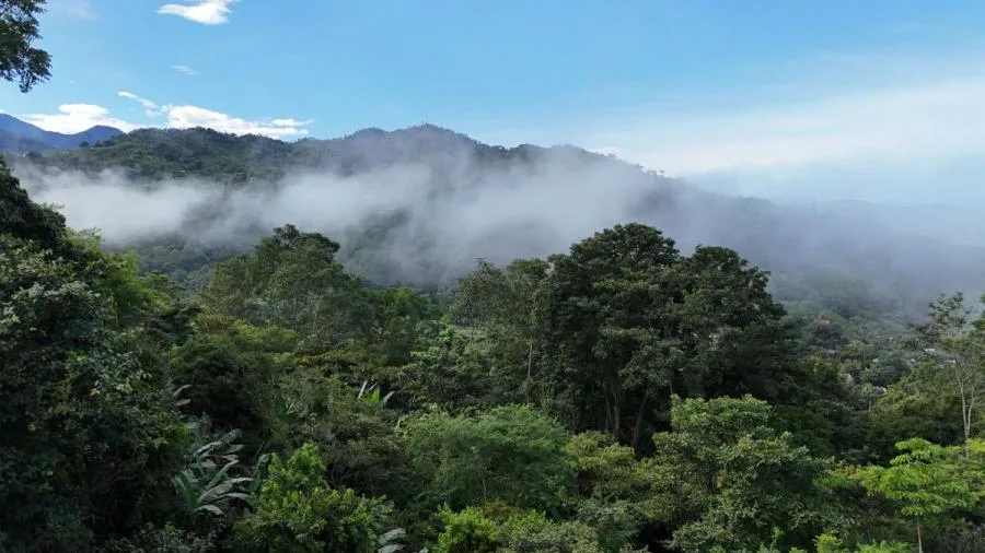 LOTE EN RIVAS, COSTA RICA CON QUEBRADA Y VISTAS. - Venta en Perez Zeledón — photo 4