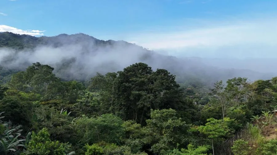 LOTE EN RIVAS, COSTA RICA CON QUEBRADA Y VISTAS. - Venta en Perez Zeledón — photo 5