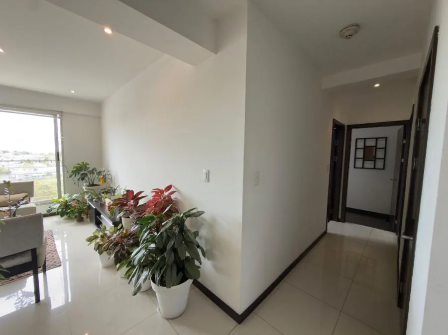 Venta de apartamento con dos habitaciones en La Sabana, San José #DE014 $175,000 — negociable - Venta en San José — photo 3