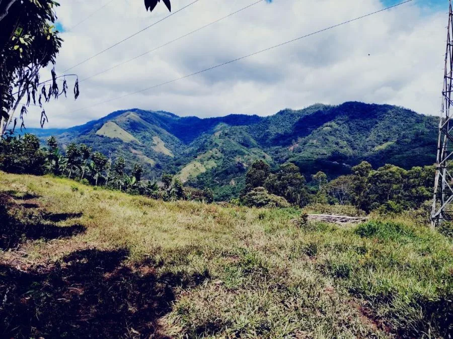 TERRENO PRIVADO DE 4 HECTÁREAS EN TIRRÁ DE RIVAS – NATURALEZA Y AMANECERES - Venta en Perez Zeledón
