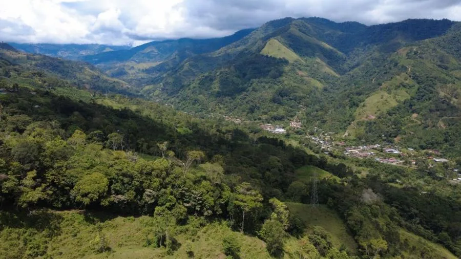 TERRENO PRIVADO DE 4 HECTÁREAS EN TIRRÁ DE RIVAS – NATURALEZA Y AMANECERES - Venta en Perez Zeledón — photo 2