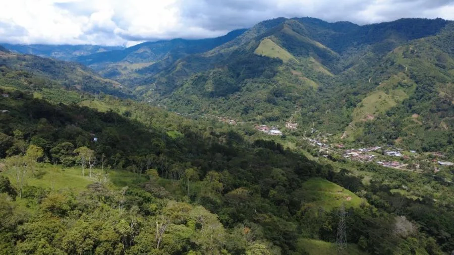 TERRENO PRIVADO DE 4 HECTÁREAS EN TIRRÁ DE RIVAS – NATURALEZA Y AMANECERES - Venta en Perez Zeledón — photo 4