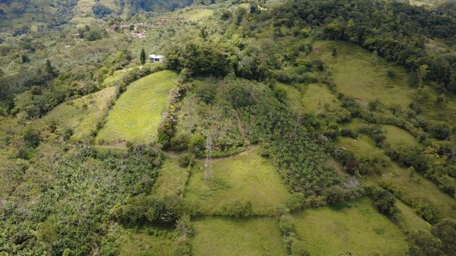 TERRENO PRIVADO DE 4 HECTÁREAS EN TIRRÁ DE RIVAS – NATURALEZA Y AMANECERES - Venta en Perez Zeledón — photo 5