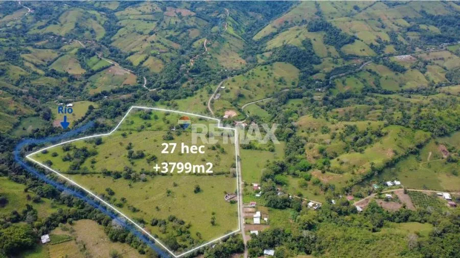 FINCA GANADERA 27 HECTÁREAS EN PÉREZ ZELEDÓN - Venta en Perez Zeledón