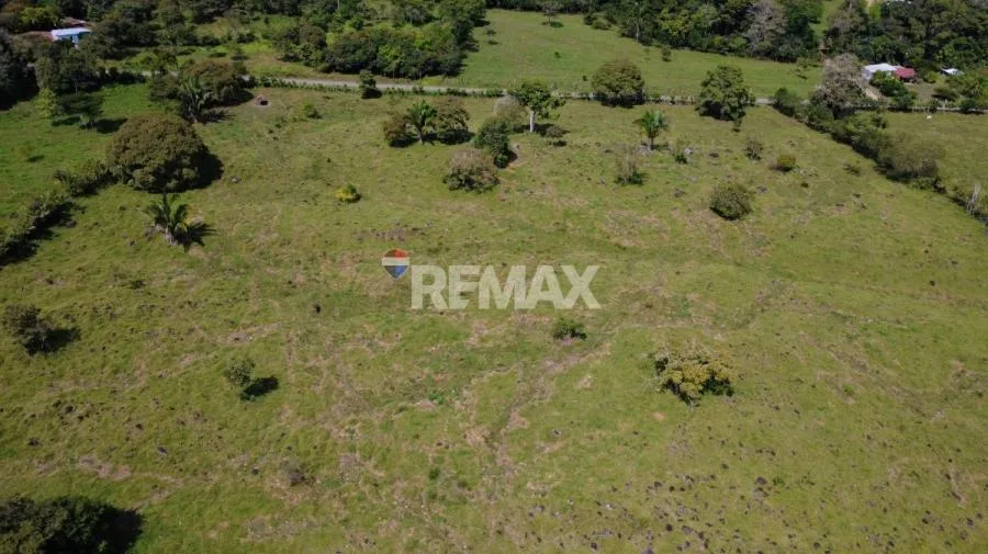 FINCA GANADERA 27 HECTÁREAS EN PÉREZ ZELEDÓN - Venta en Perez Zeledón — photo 2