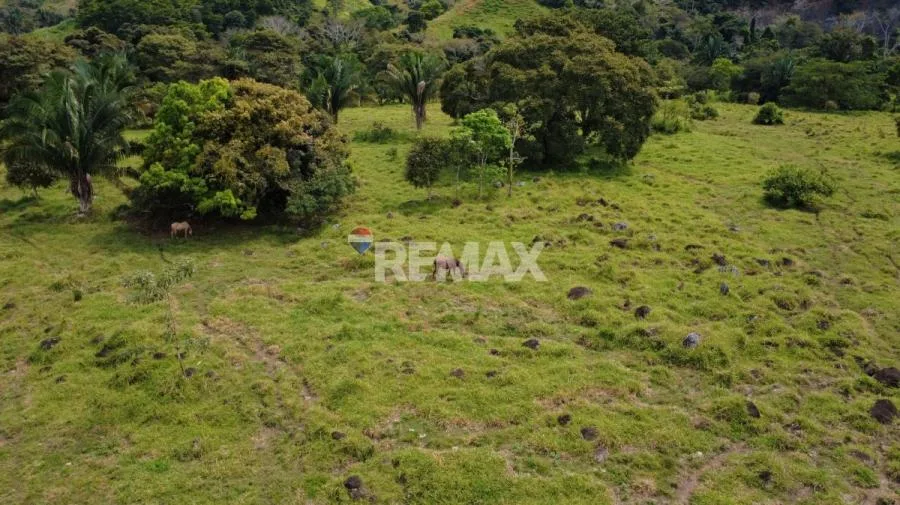 FINCA GANADERA 27 HECTÁREAS EN PÉREZ ZELEDÓN - Venta en Perez Zeledón — photo 3