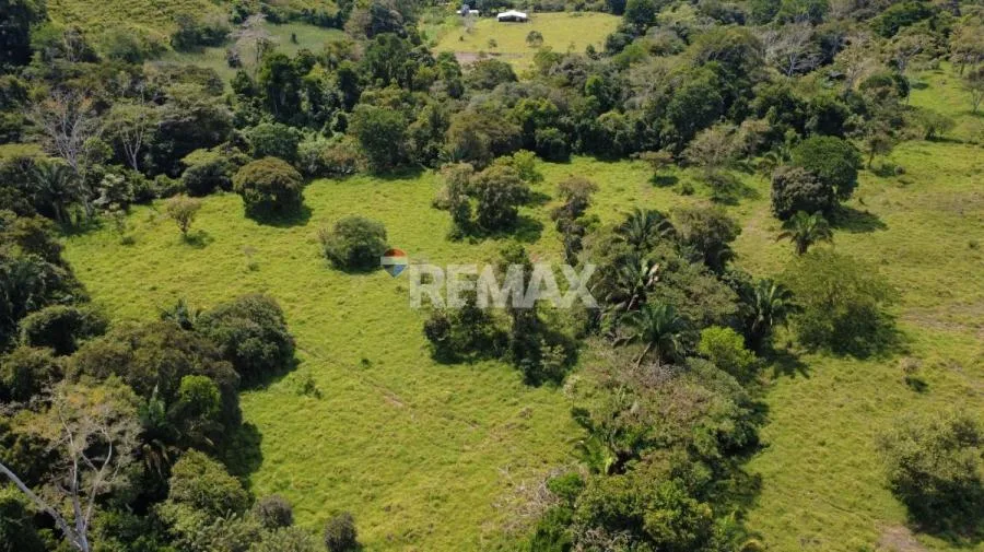 FINCA GANADERA 27 HECTÁREAS EN PÉREZ ZELEDÓN - Venta en Perez Zeledón — photo 5