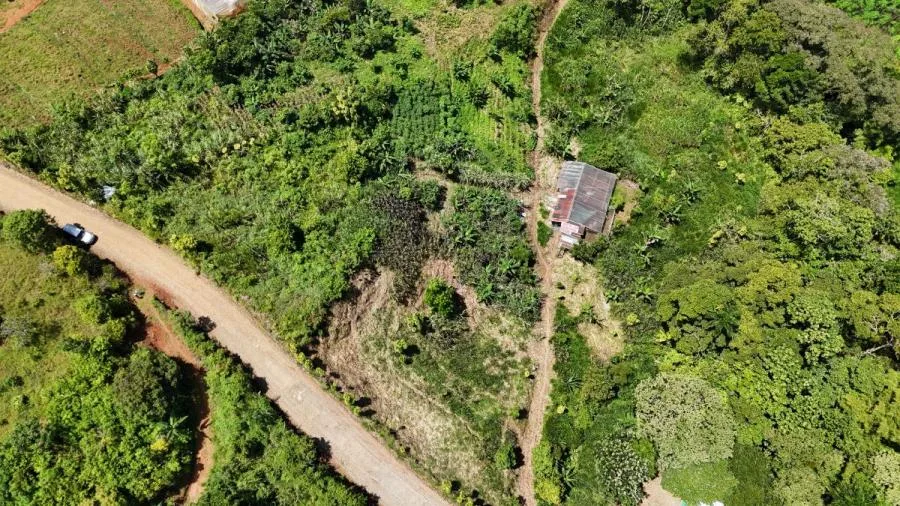 EN RIVAS LOTE DE 1,026m² PRIVADO Y FRESCO, COSTA RICA - Venta en Perez Zeledón