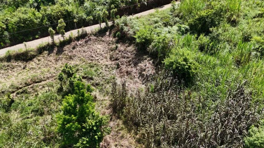 EN RIVAS LOTE DE 1,026m² PRIVADO Y FRESCO, COSTA RICA - Venta en Perez Zeledón — photo 5