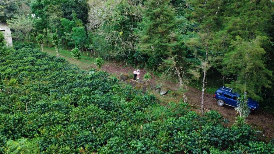 FINCA PRIVADA DE 1.9 HA EN SANTA ELENA – TERRENO APROVECHABLE, BOSQUE Y ENTORNO ESCÉNICO - Venta en Perez Zeledón — photo 5