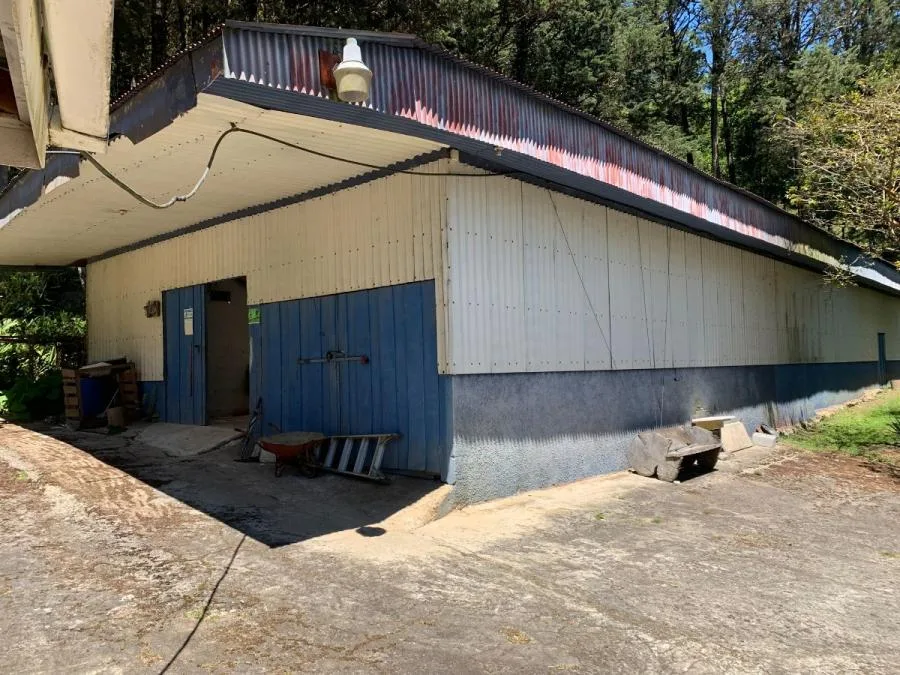 Hub Logístico en la Naturaleza: Alquiler de Bodega en Copalchí de Cartago MLS 24-1330 - Alquiler / Renta en Copalchi
